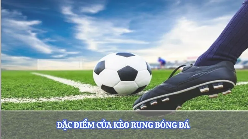 Đặc điểm của kèo rung bóng đá