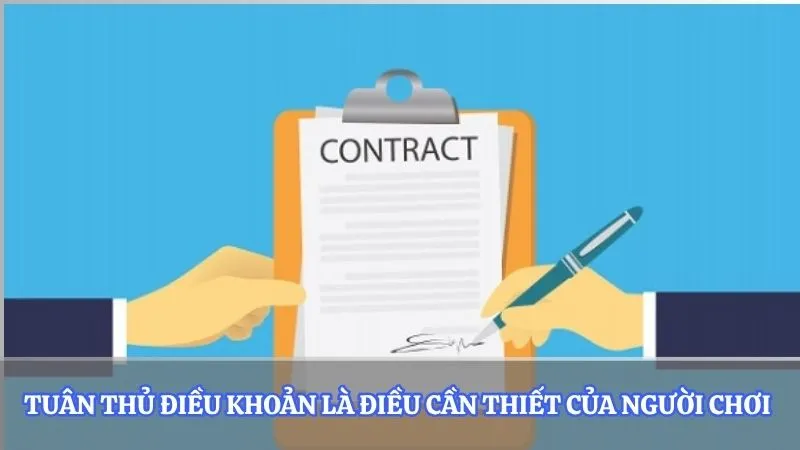 Tuân thủ điều khoản là điều cần thiết của người chơi